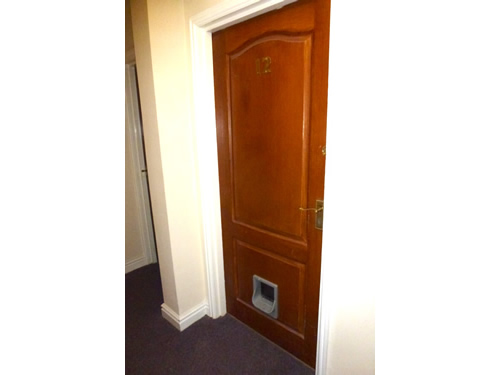 Cat flap in fire door